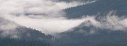 Mountain View Treatment Tukwila banner image