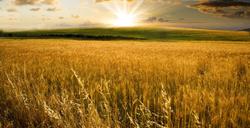 Palouse Recovery Center Pullman banner image