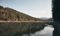 Olympic Personal Growth Center Sequim banner image